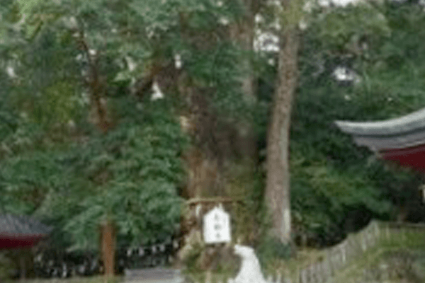 日本香りスポット